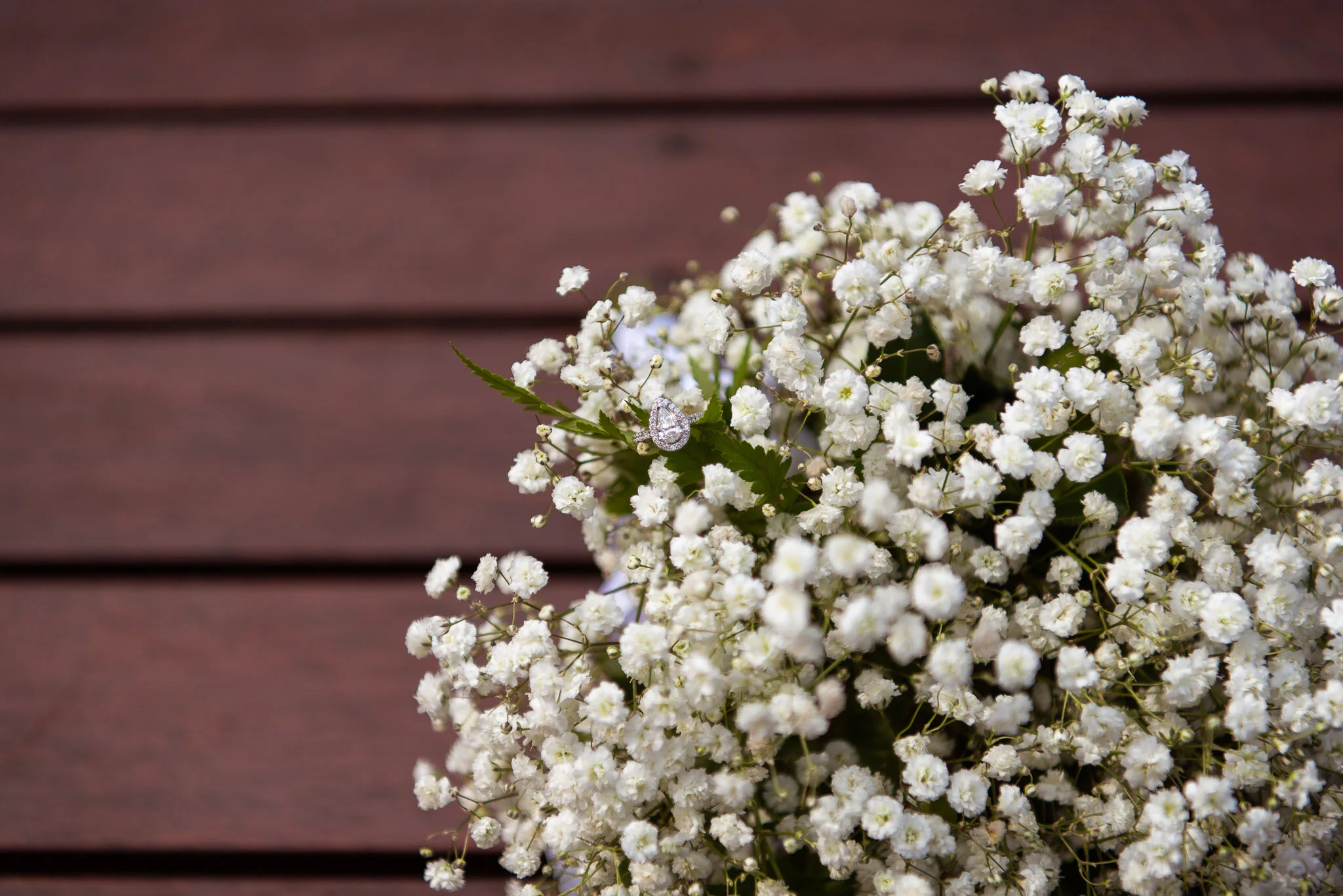 Chloe_Rus_Jervis_Bay_Backyard_Wedding_Photography_By_Amye (21).JPG