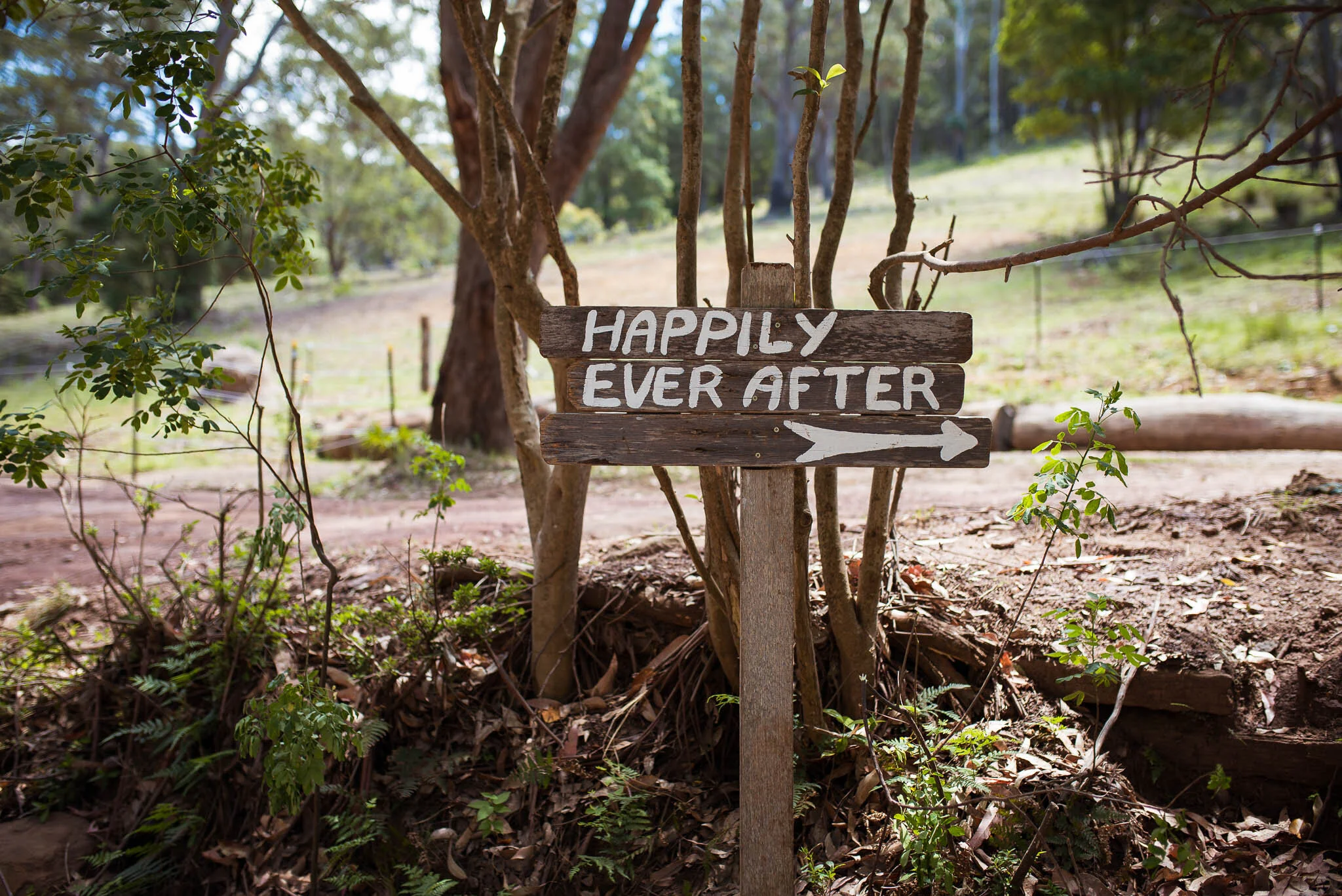 Jo_Josh_Backyard_Wedding_Illawarra_Sydney_Photography_By_Amye-66.JPG