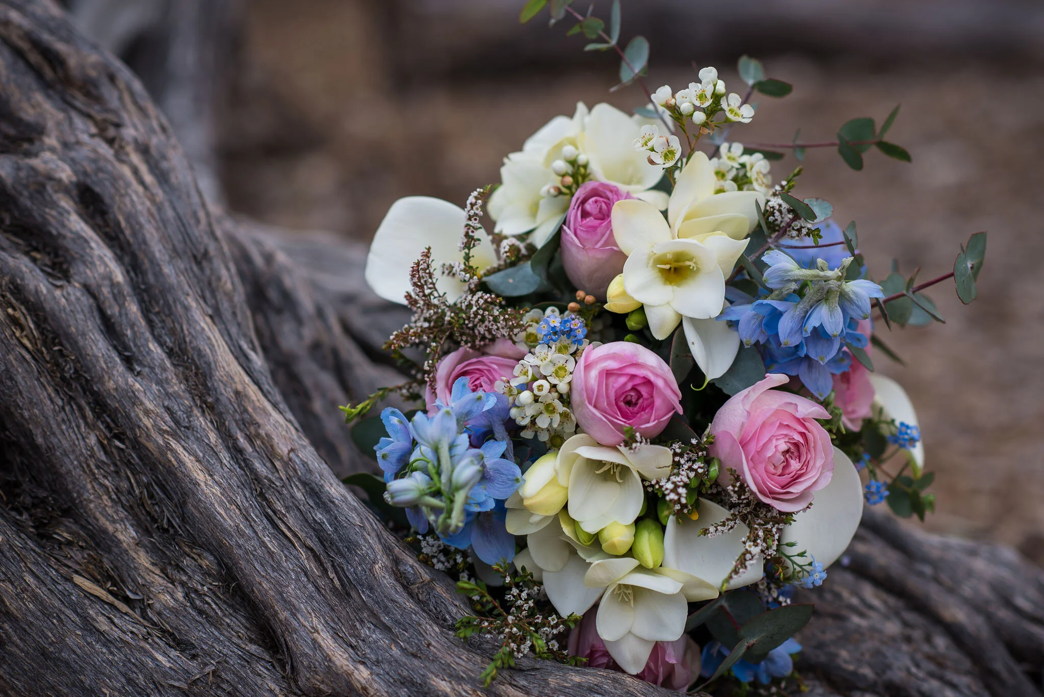 Bianca-Malcolm-Elopement-Wollongong-Beach-Photography-By-Amye (26).JPG