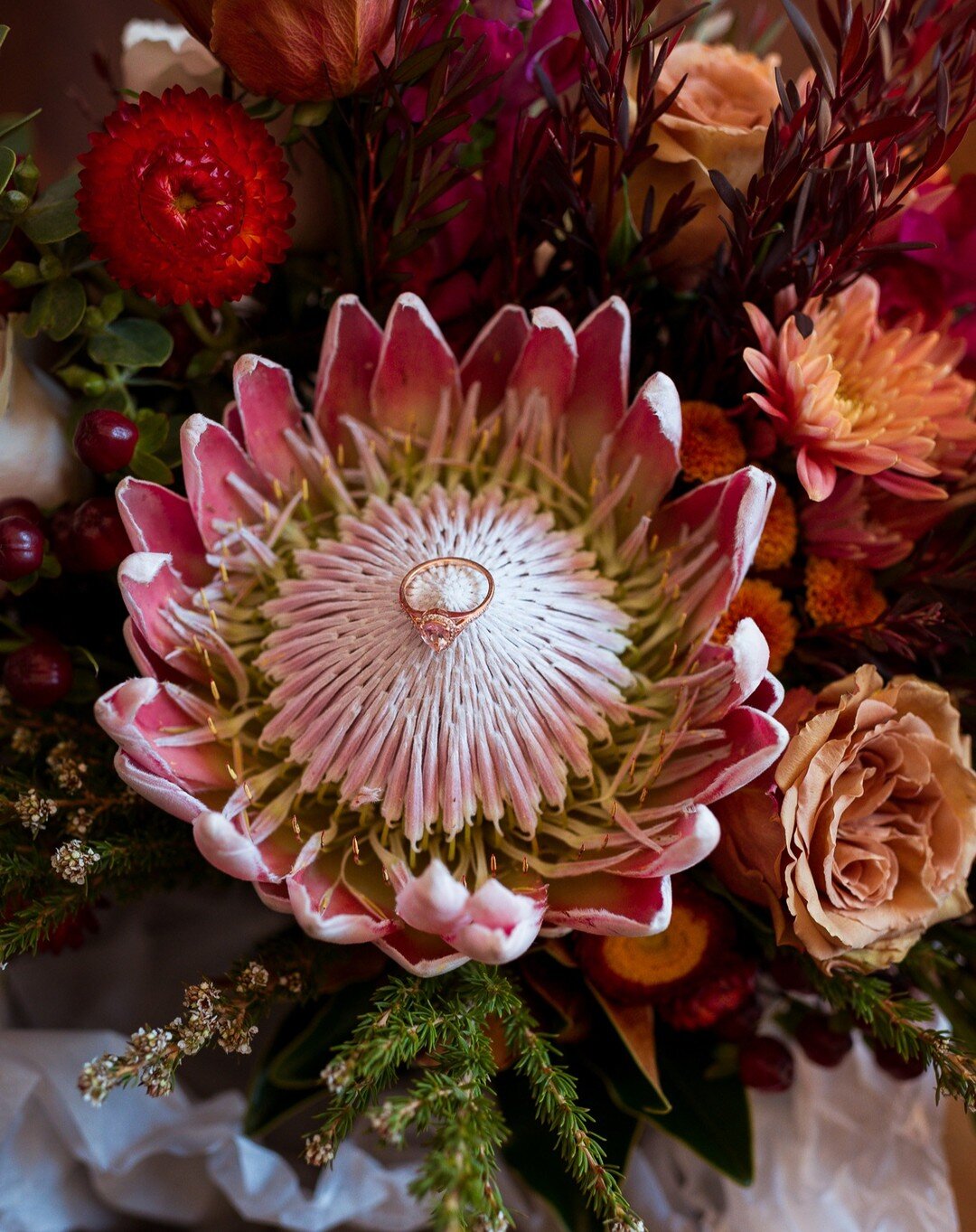 When there is a Protea in the bouquet that matches the engagement ring perfectly 😍😍😍