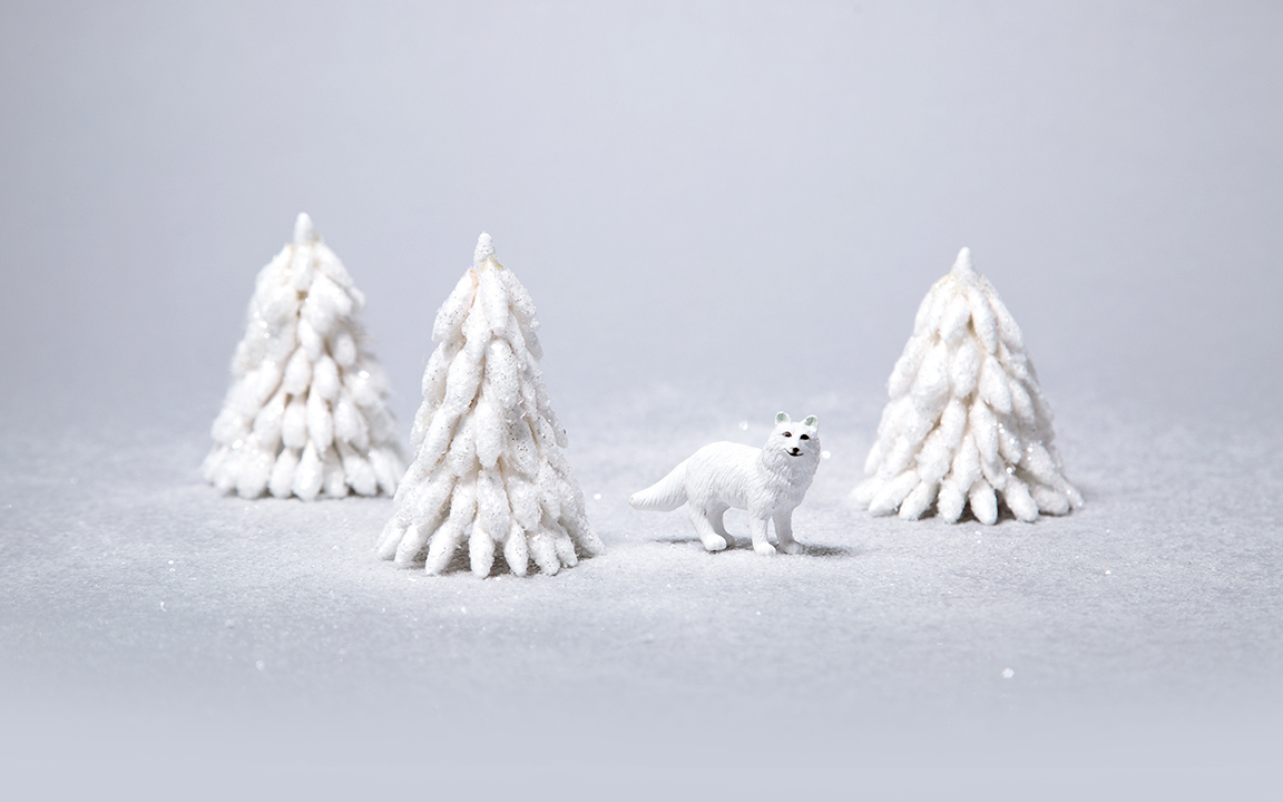 snowtrees.jpeg