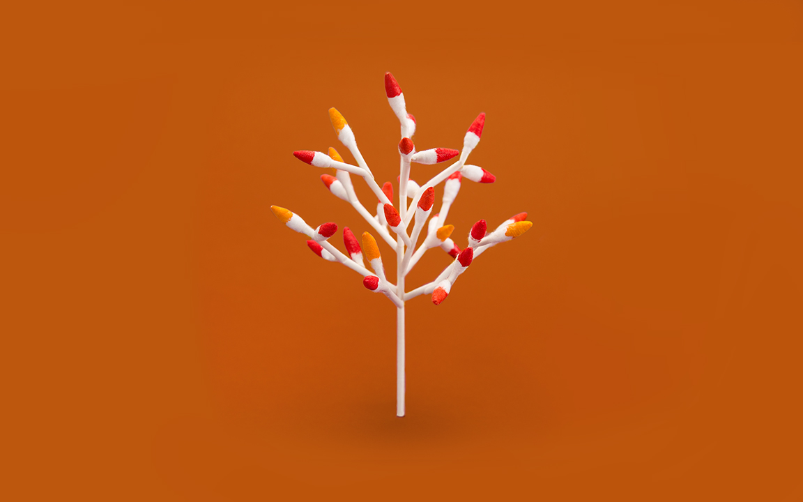tree.jpeg