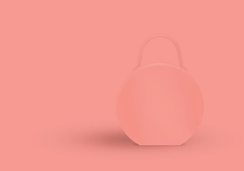 Mansur Gavriel circle bag. All vector.