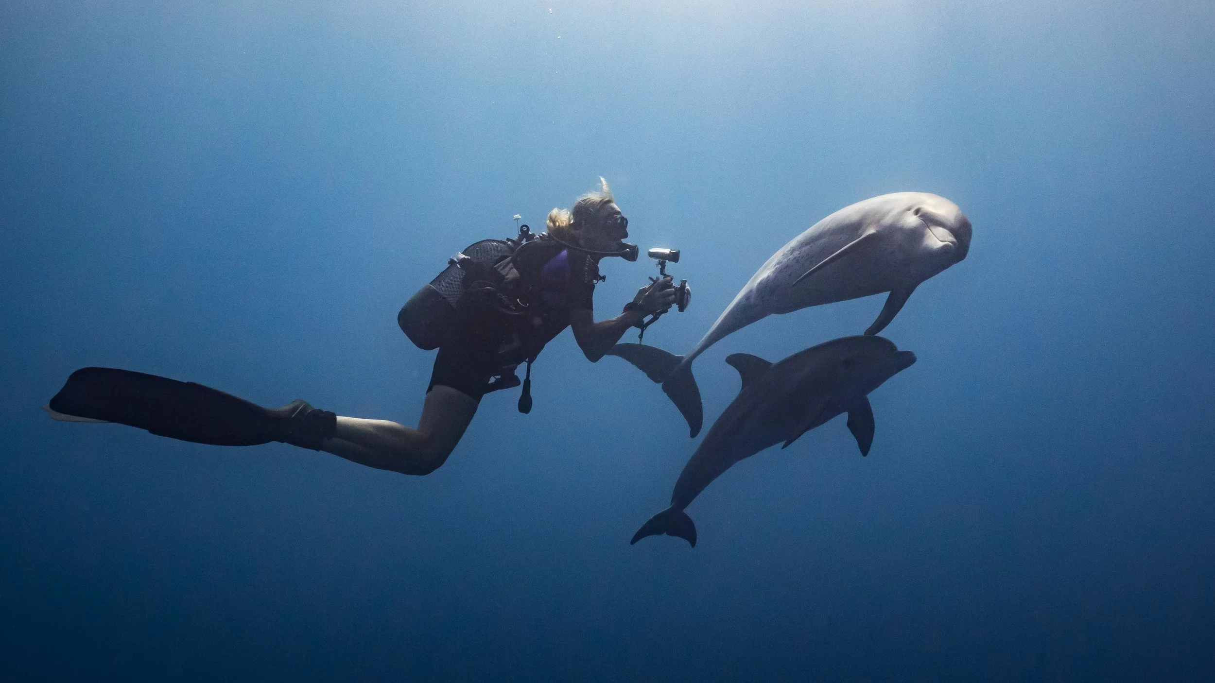 Marine conservation specialist Angela Ziltener