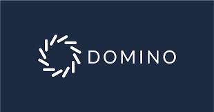 domino-data-lab.png