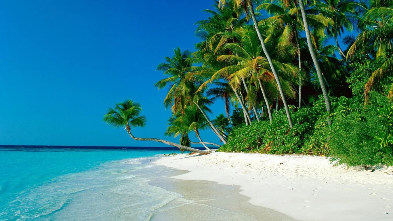 Cape Tribulation