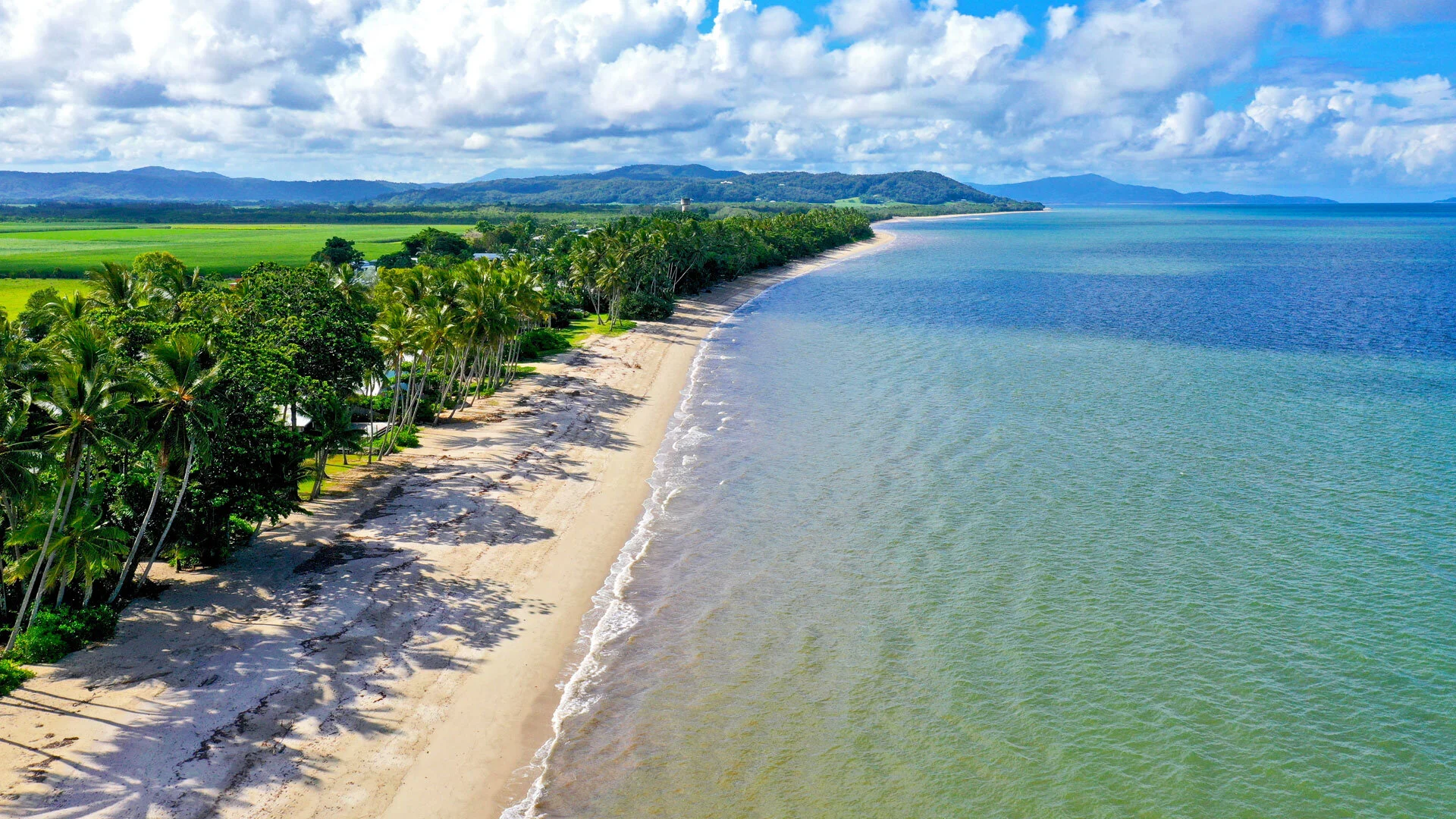 Absolute Newell Beach