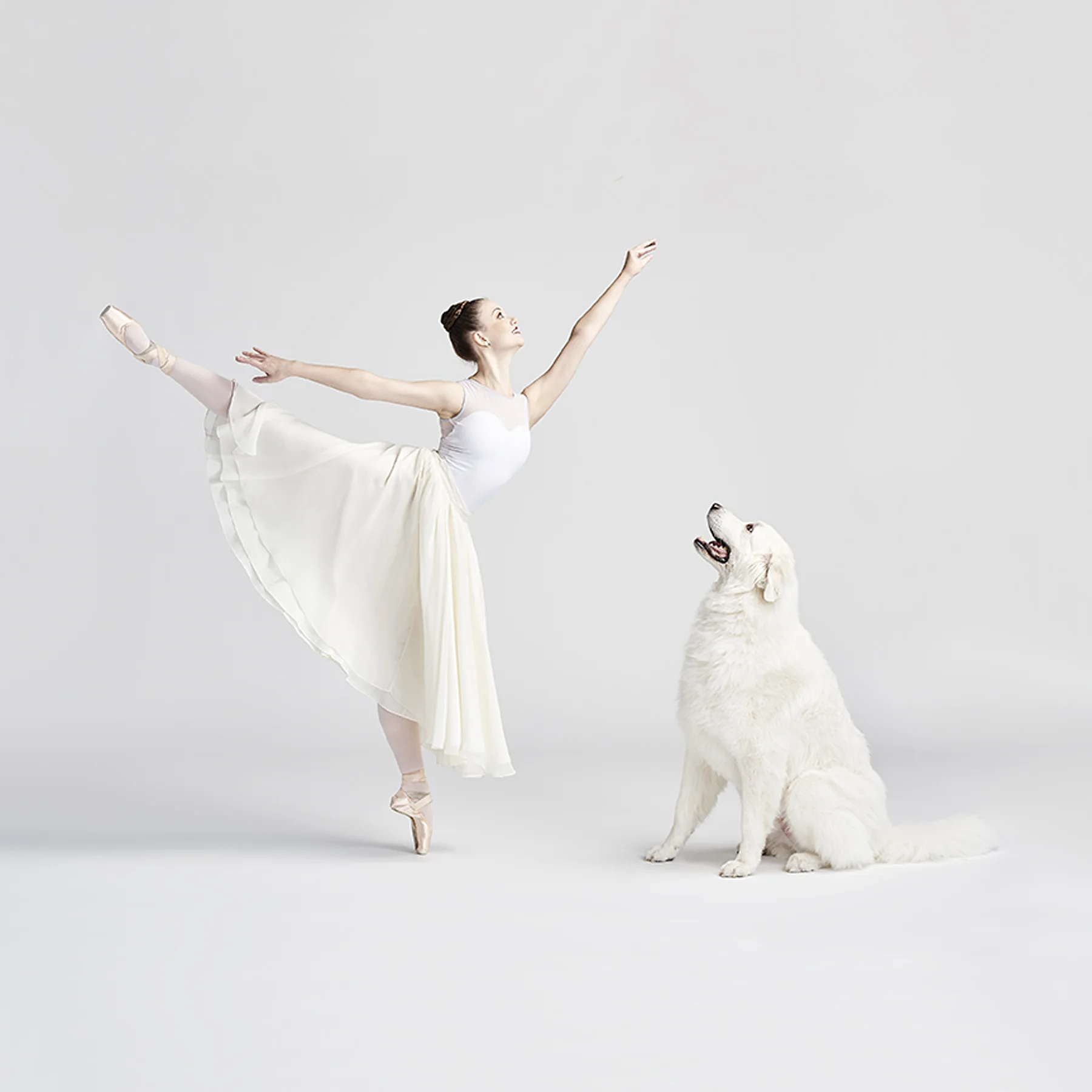 ballerina dog.jpg