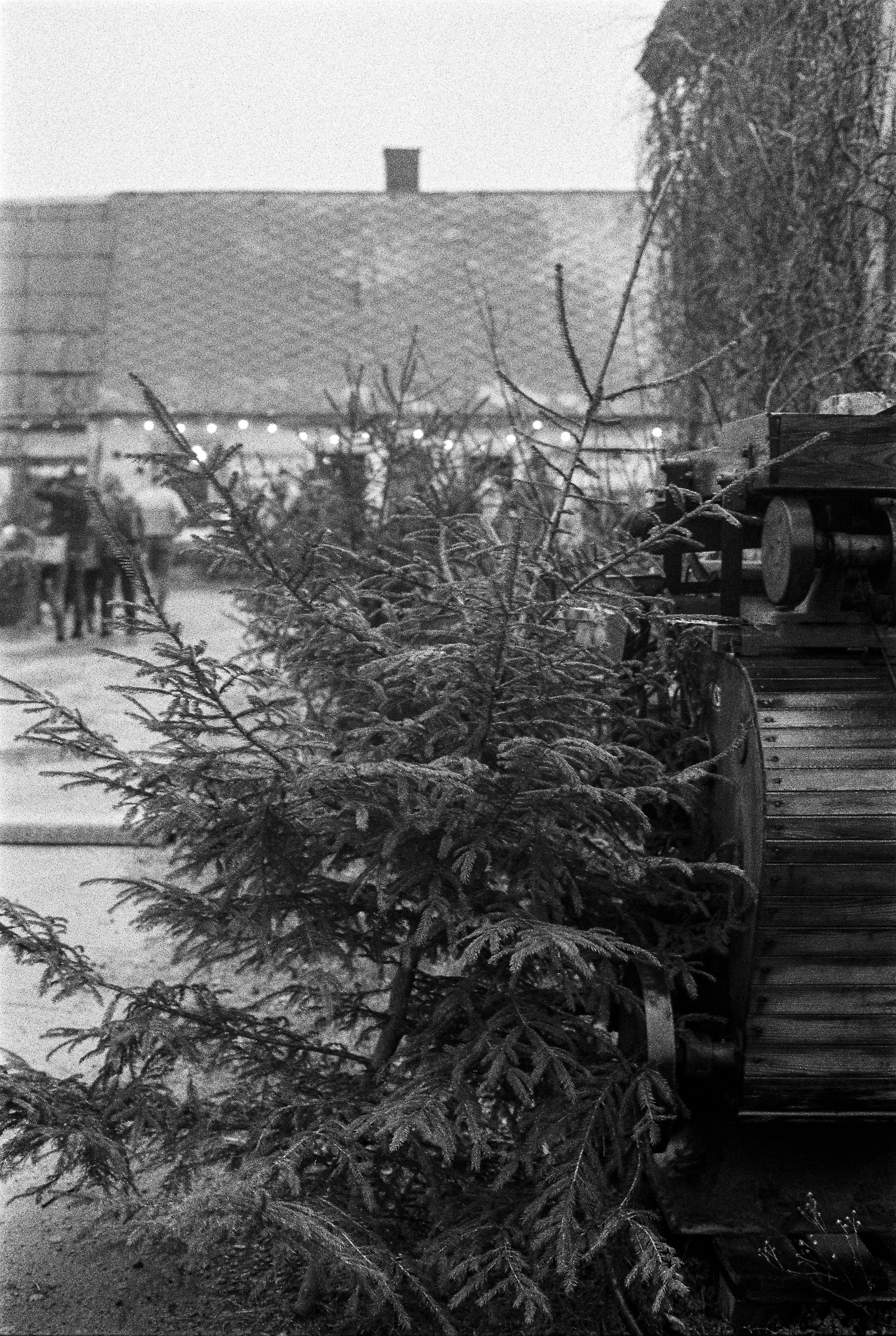 M3-M7-bw-2018-01-56.jpg