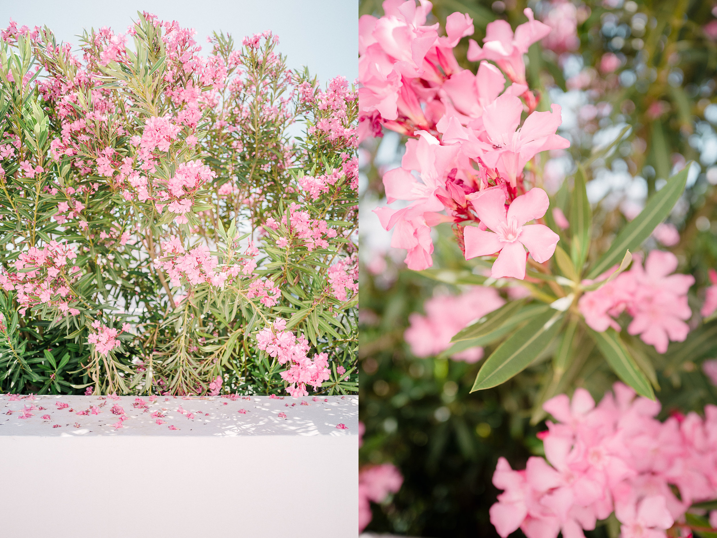 Rhodos_Diptych_3.jpg