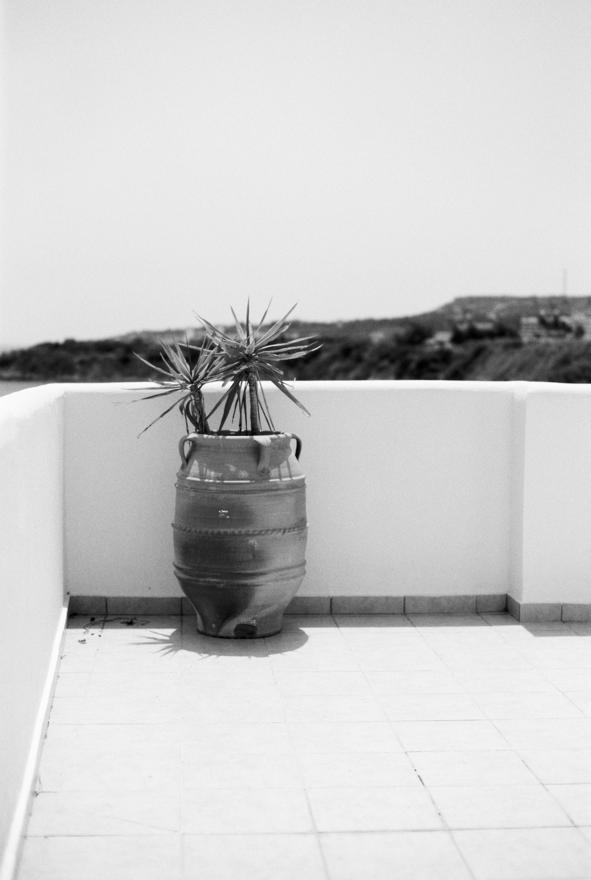 Rhodos_Tmax100-2.jpg