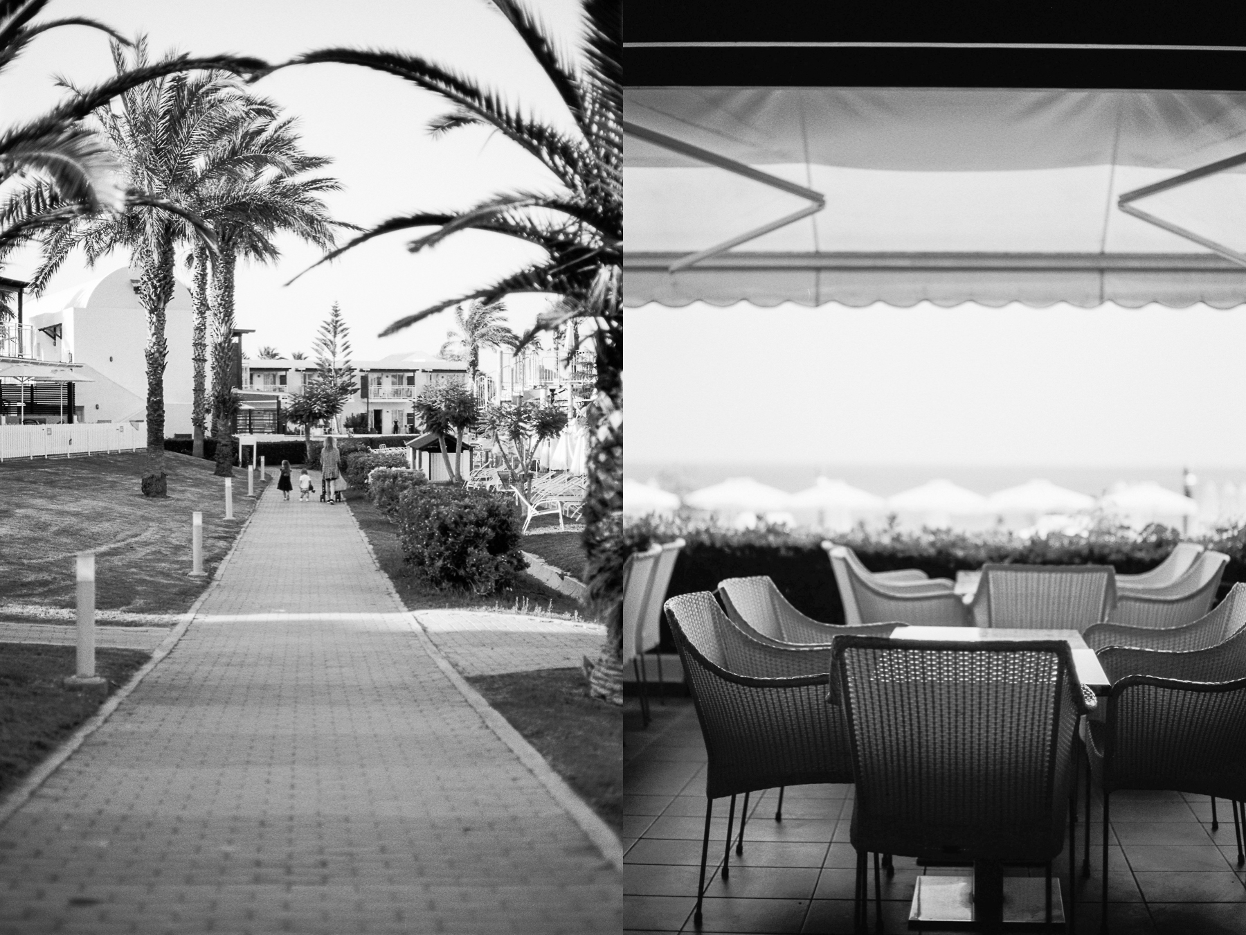 Rhodos_Diptych_Tmax_1.jpg