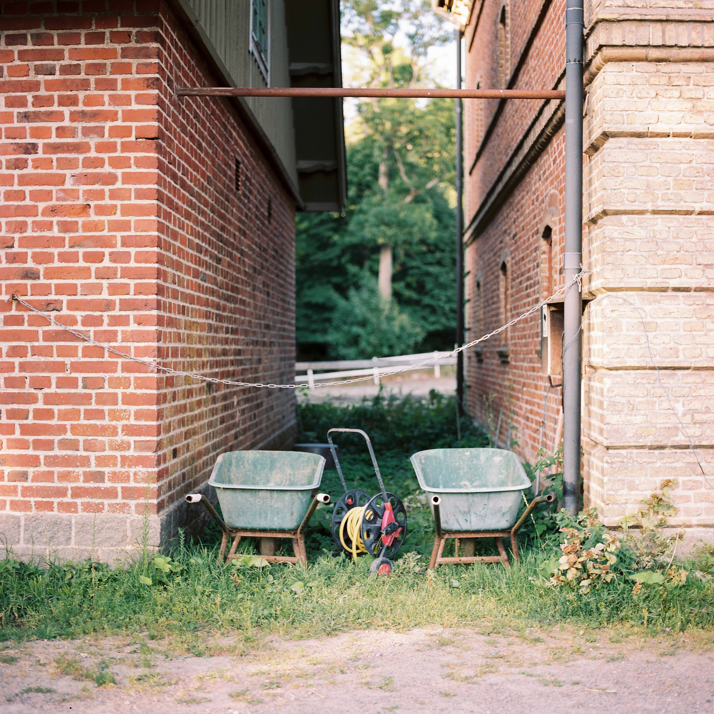 Niklas Andersson - 18_Summer_Mixed Portra400-9.jpg