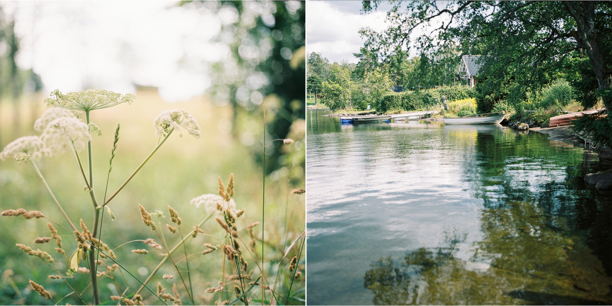 summer diptych5.jpg