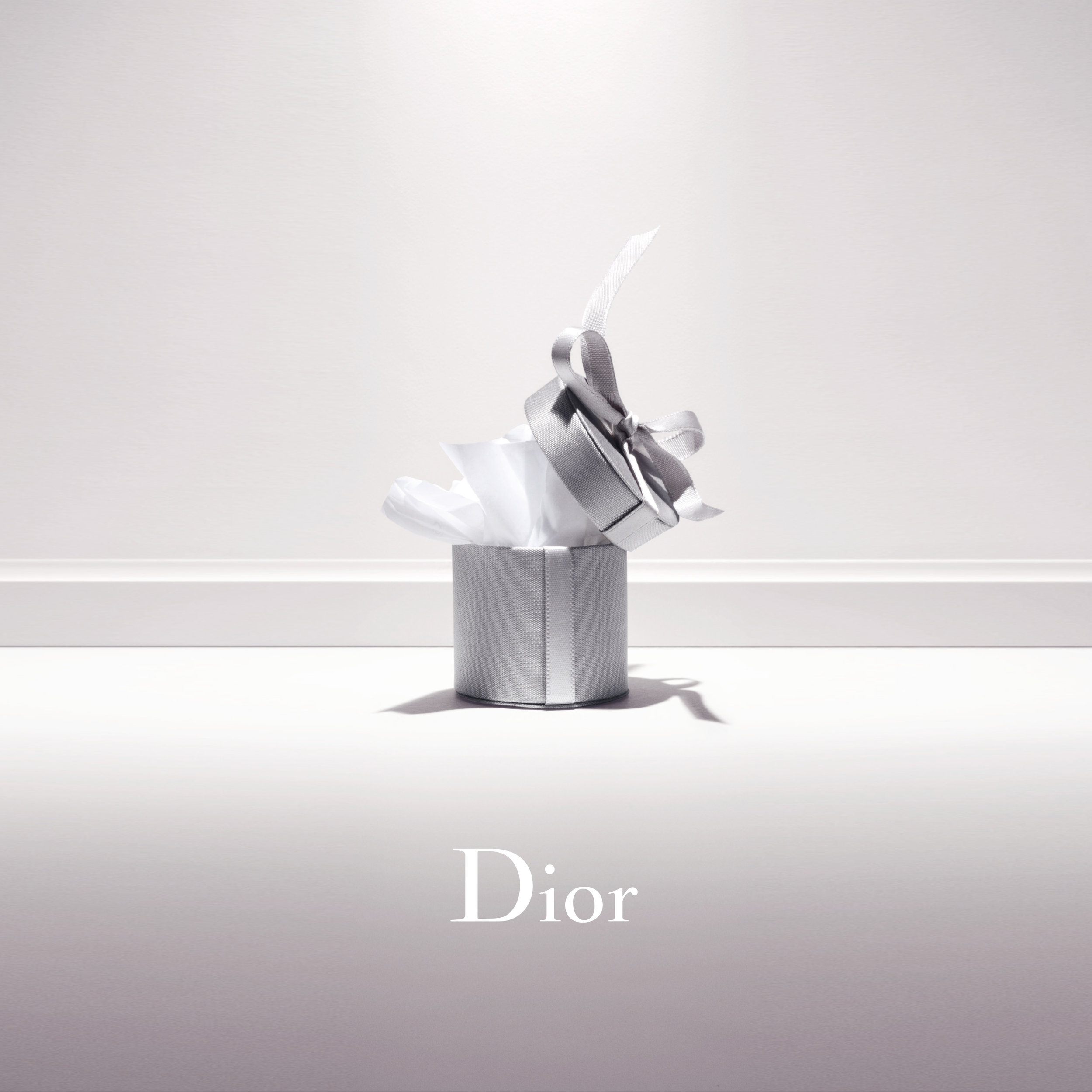 IMG DIOR 1.jpg