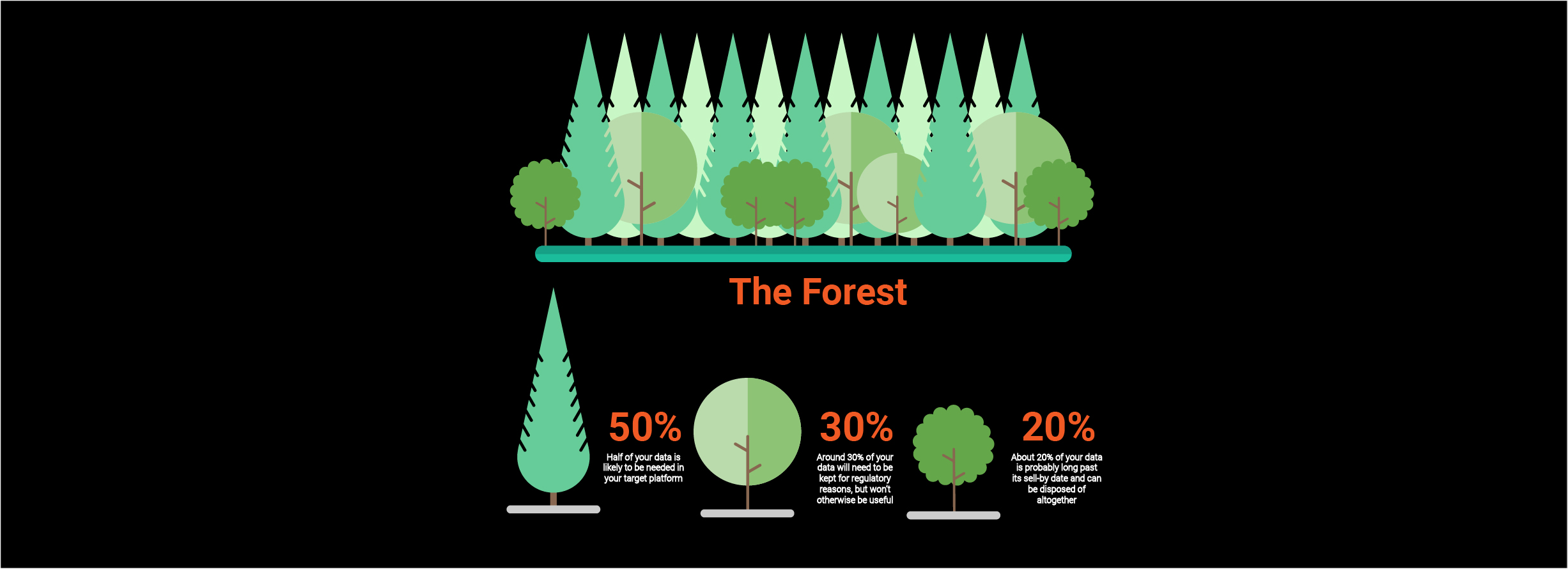 ForestForTrees_ForWebsite.jpg