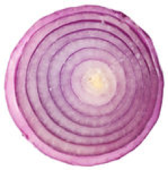 Half onion.png