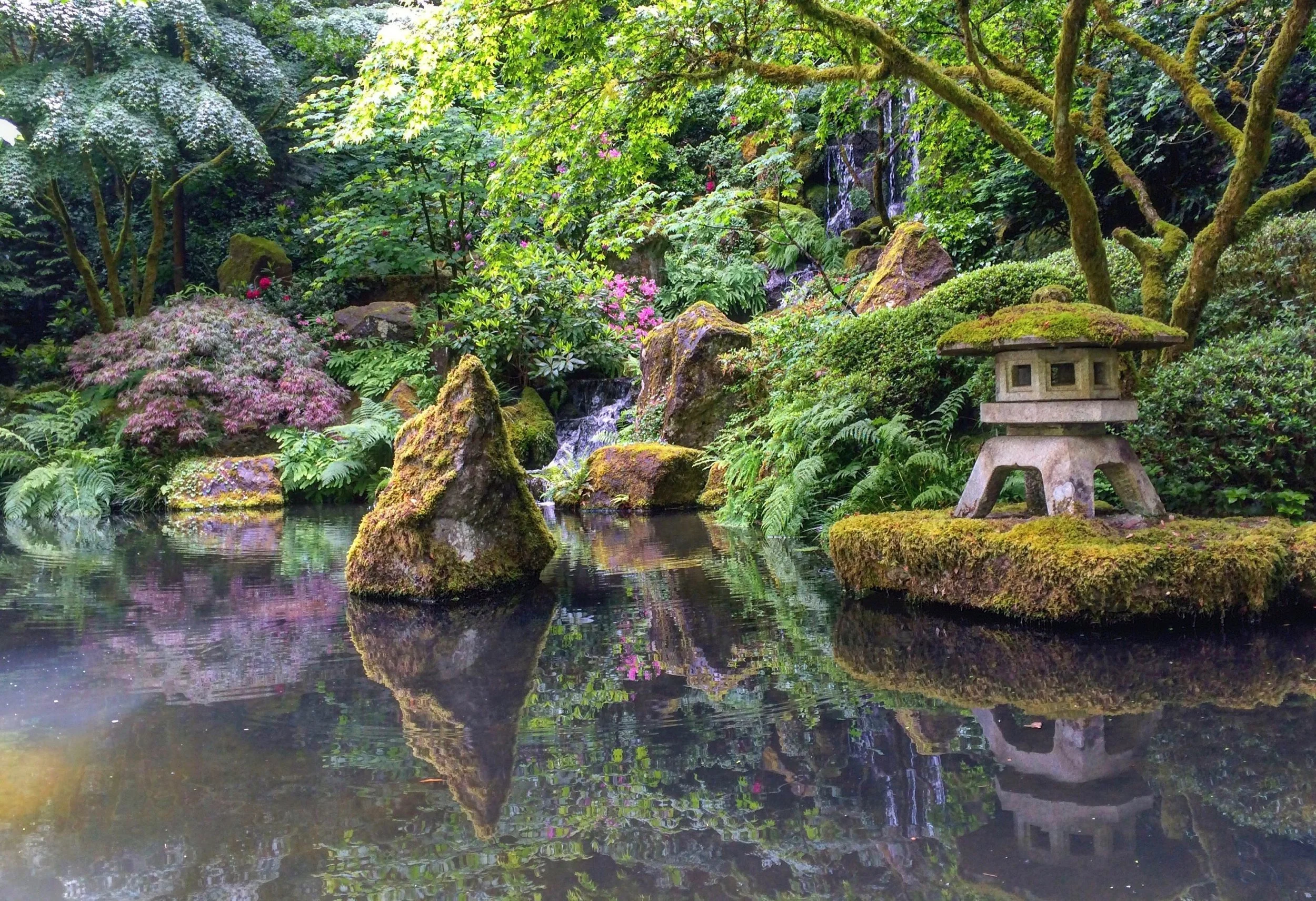 jardin japonés