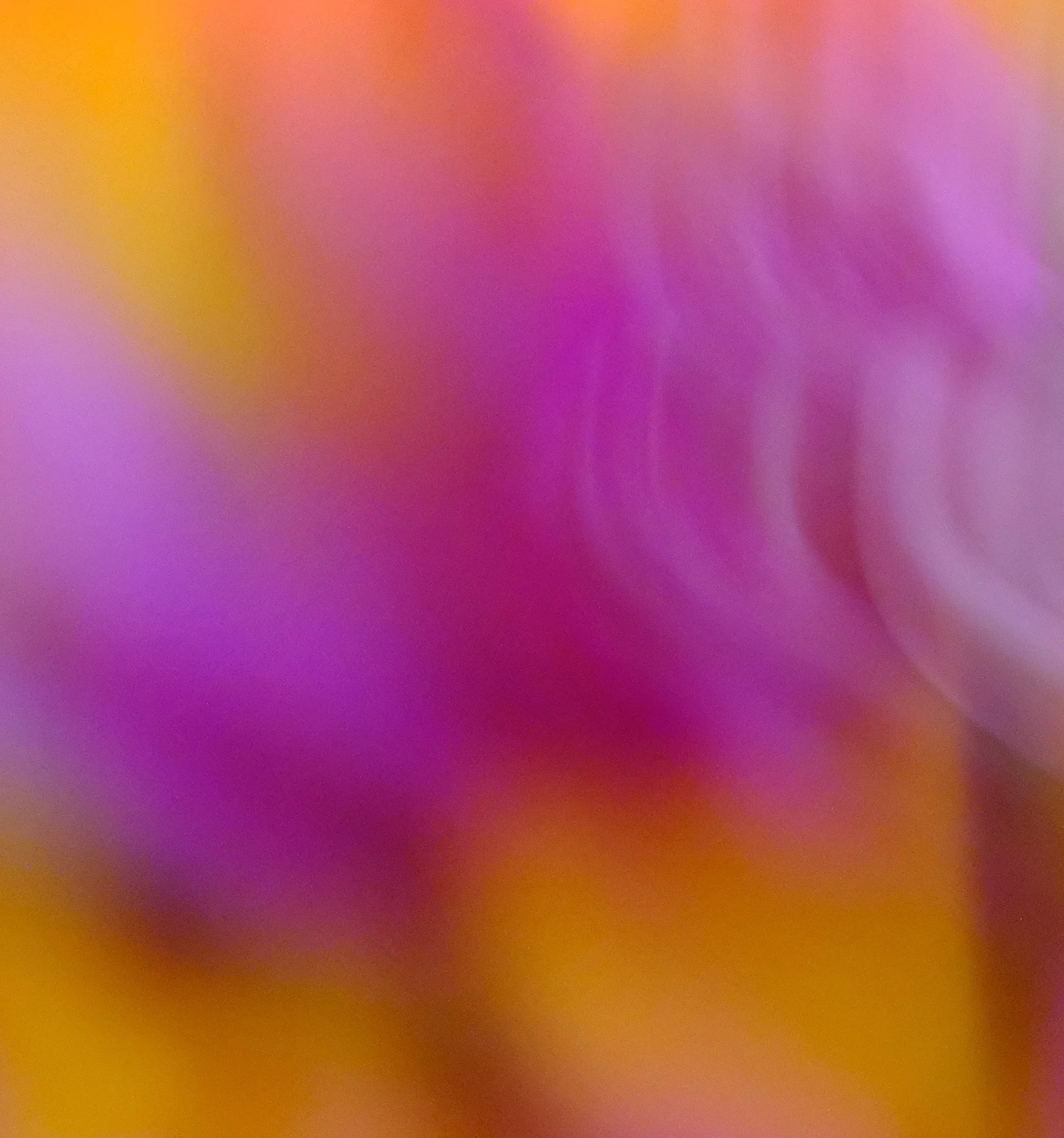 Photography by Nikki Behar