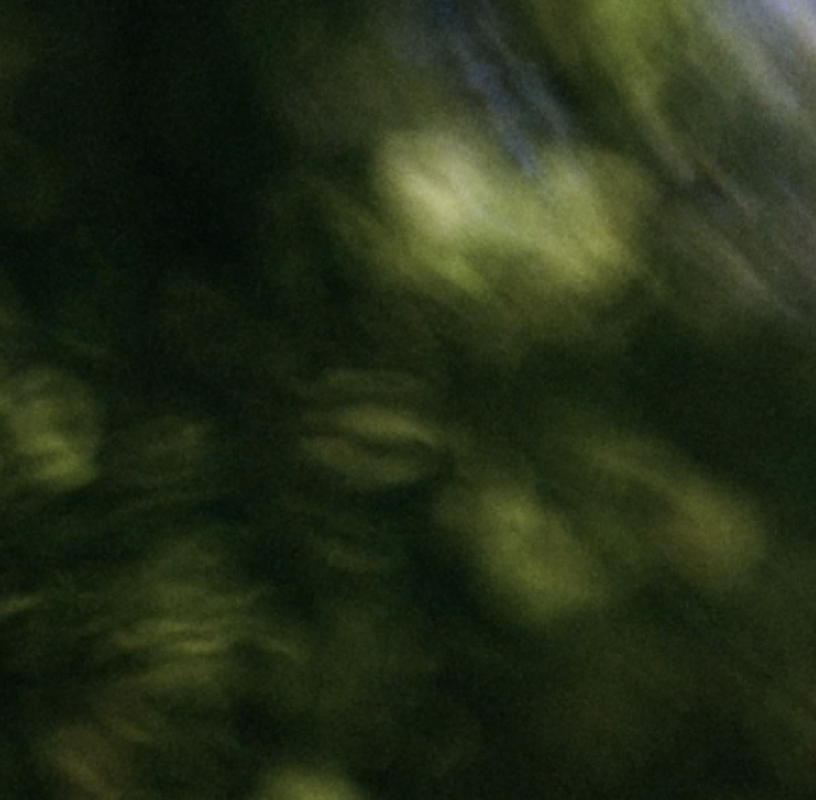 Blurred image with green and yellow hues, indistinct shapes and patterns.