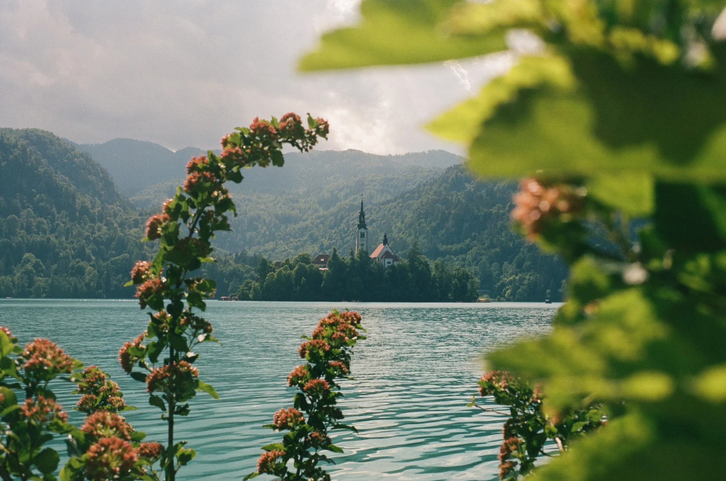 lake bled copy.jpg