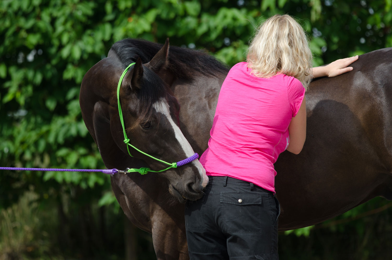 Massage-paard.jpg