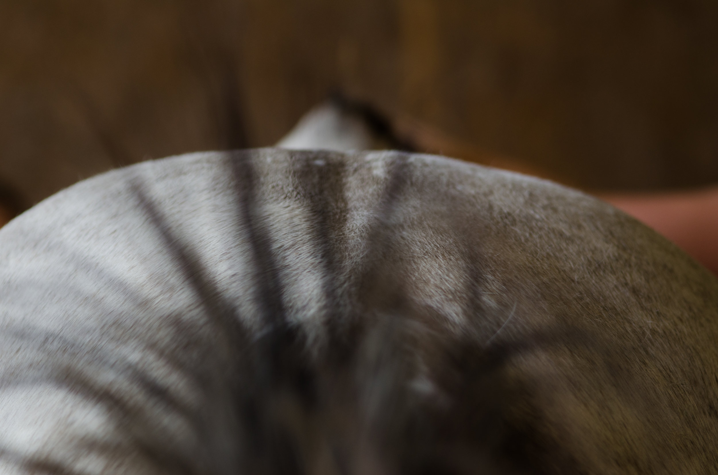 20130714-DSC_1151.jpg