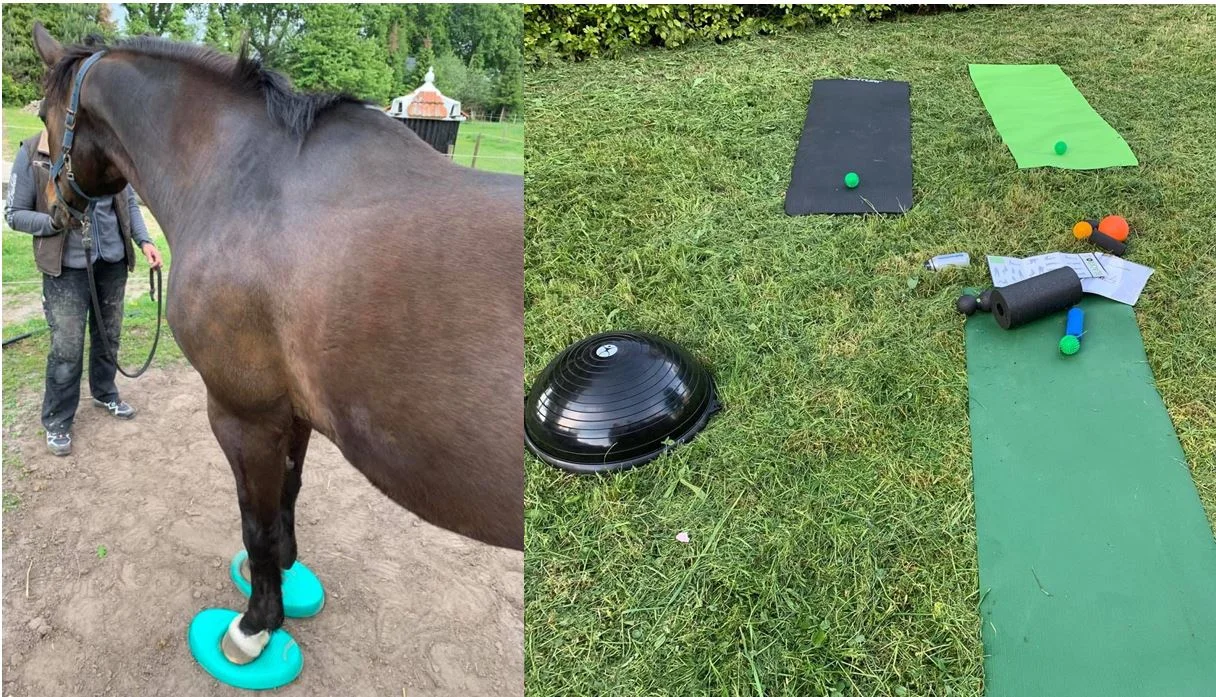 Core Ruiter en Paard.JPG