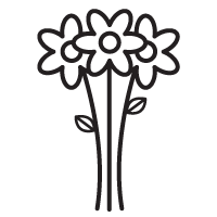 Remove flowers from packaging.