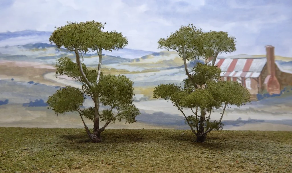 multitrunk-gum-trees_hu15d14d4c385b2a9b58f77576a5fdd9bd_3745789_1024x0_resize_q100_lanczos.69c7cf7.jpg