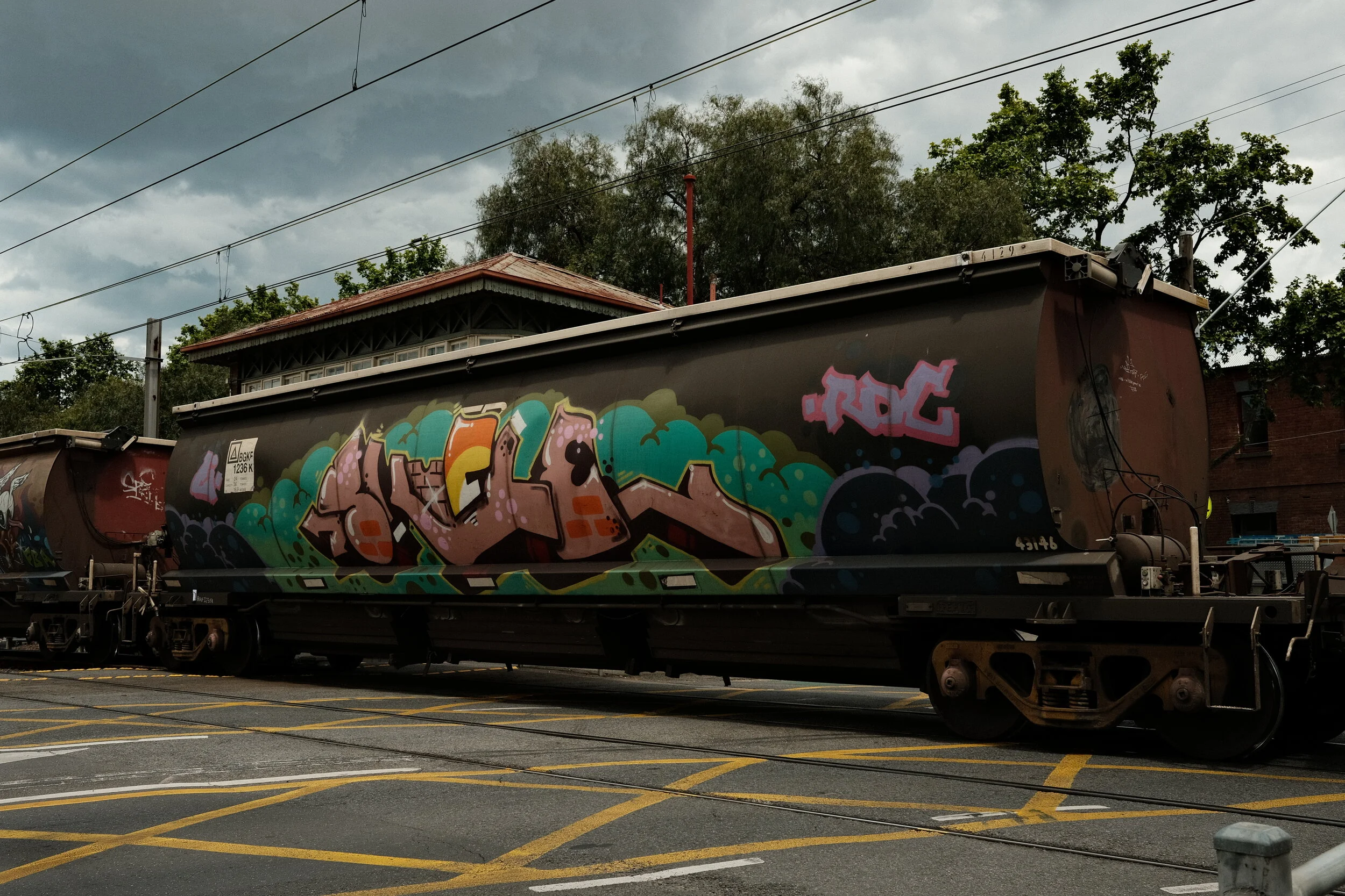 DSCF0881.JPG