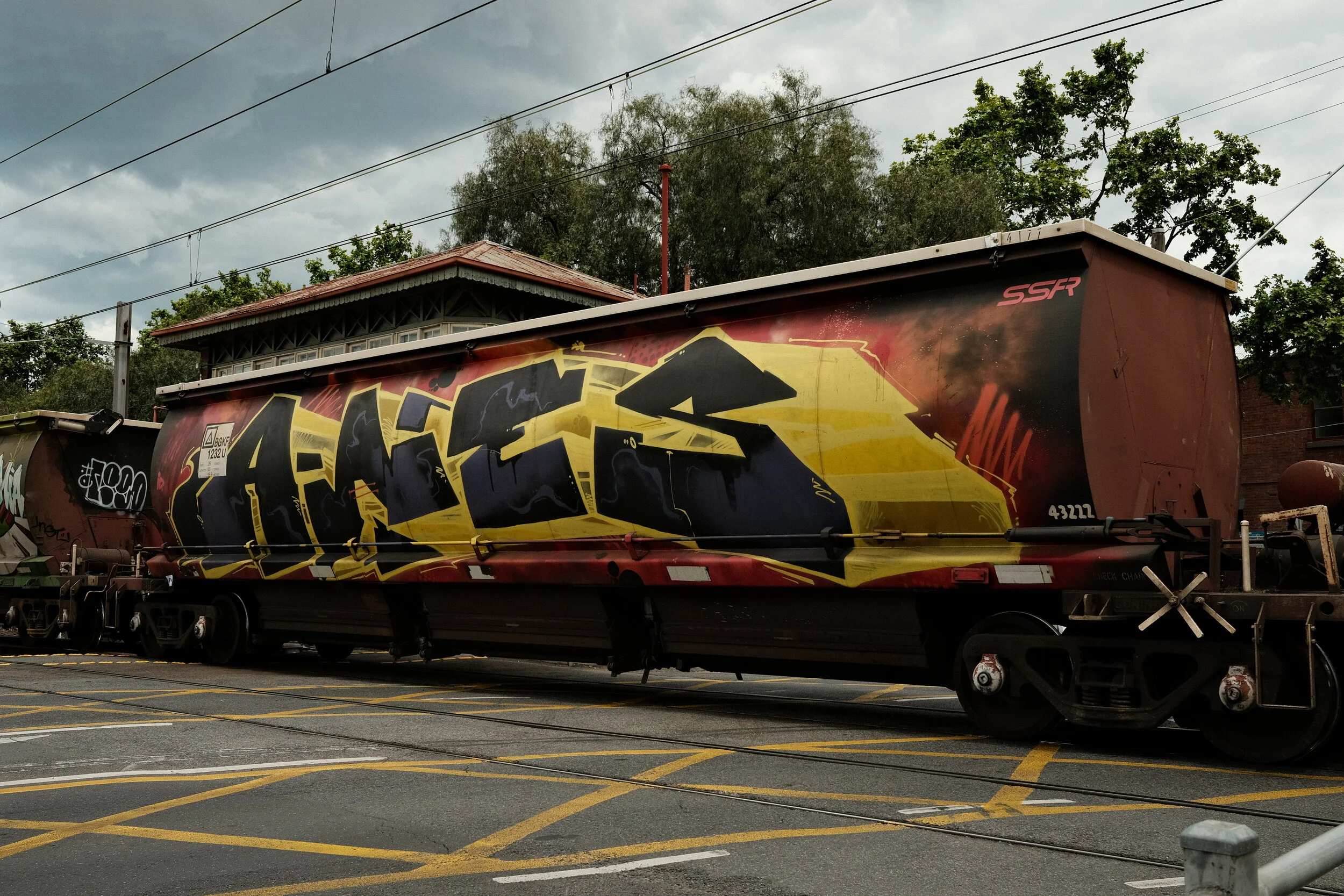 DSCF0887.JPG
