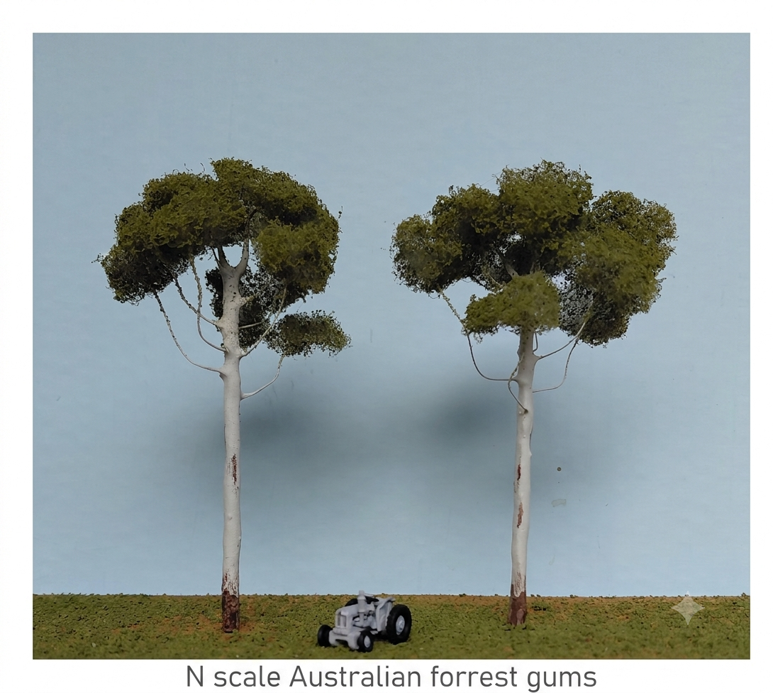 forest.png