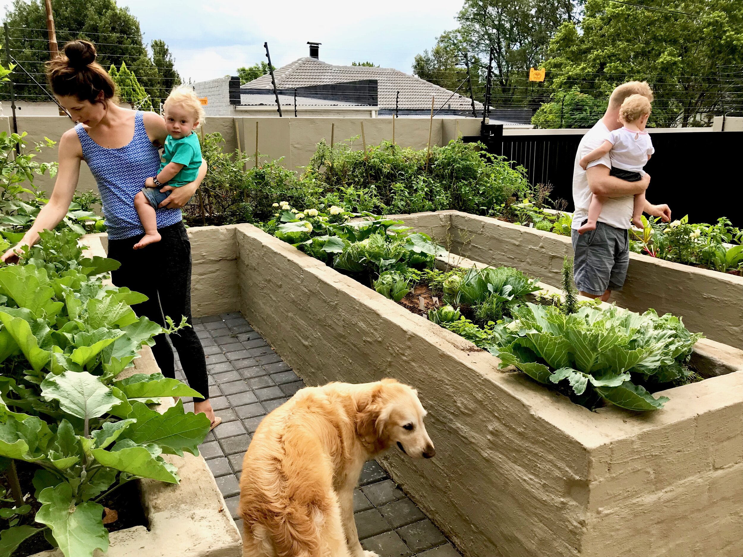 Harrison House Raised Vegetable Garden.jpg