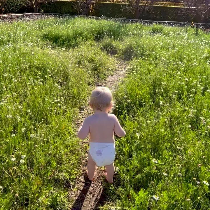George in Camomile meadow 🌱 

Warmer days are coming (so I keep telling myself) but how lucky are we that we have balmy days like this one on the 5th of June. When rain gets me frigid and in the way of gardening I hold days like this one in my mind 