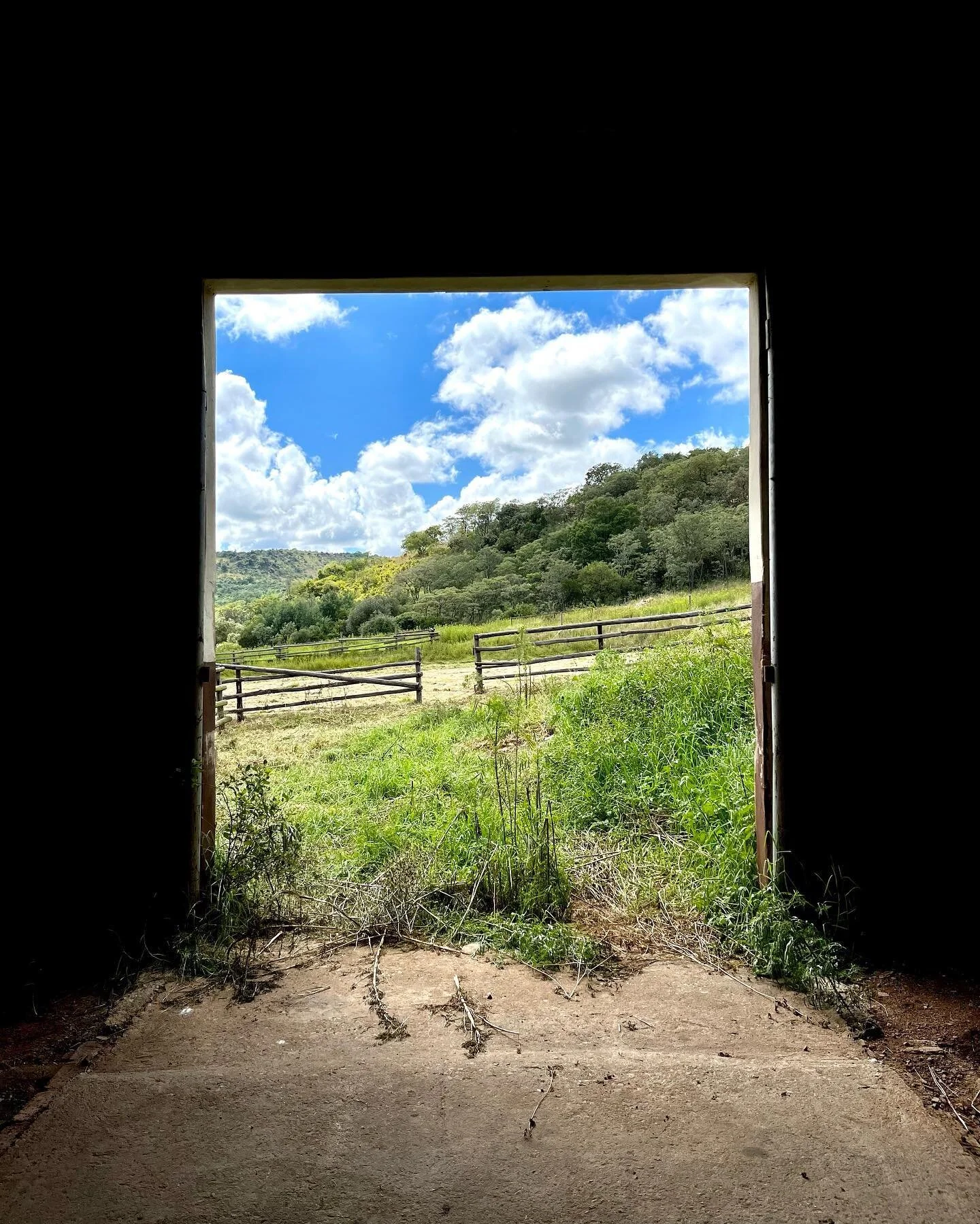 Next week I'm returning to the Cradle site where we'll begin breaking ground on the earthworks phase of a new establishment. 
I realise I haven't shared the design yet...coming soon.
Last time I was there it was summer balmy so I'm looking forward to