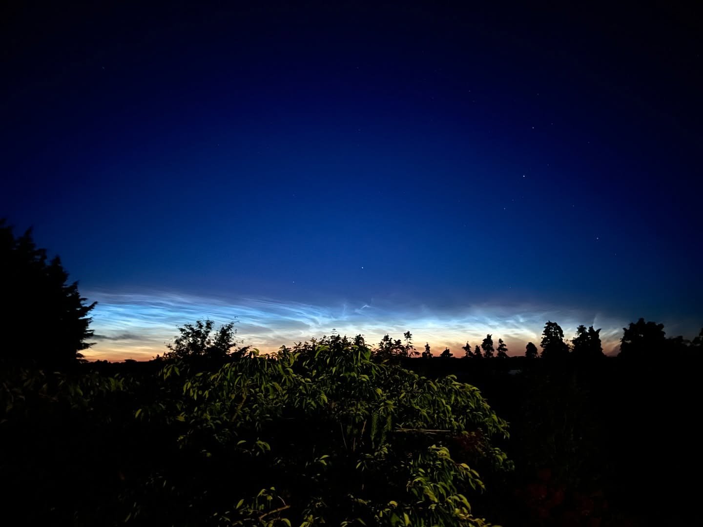 Last night at 2am accidentally looking north I got to see a rare and amazing Type 5 Noctilucent Cloud display. We went outside to the field to get away from the garden lights and just spent time watching the sky, unfortunately my phone died after the