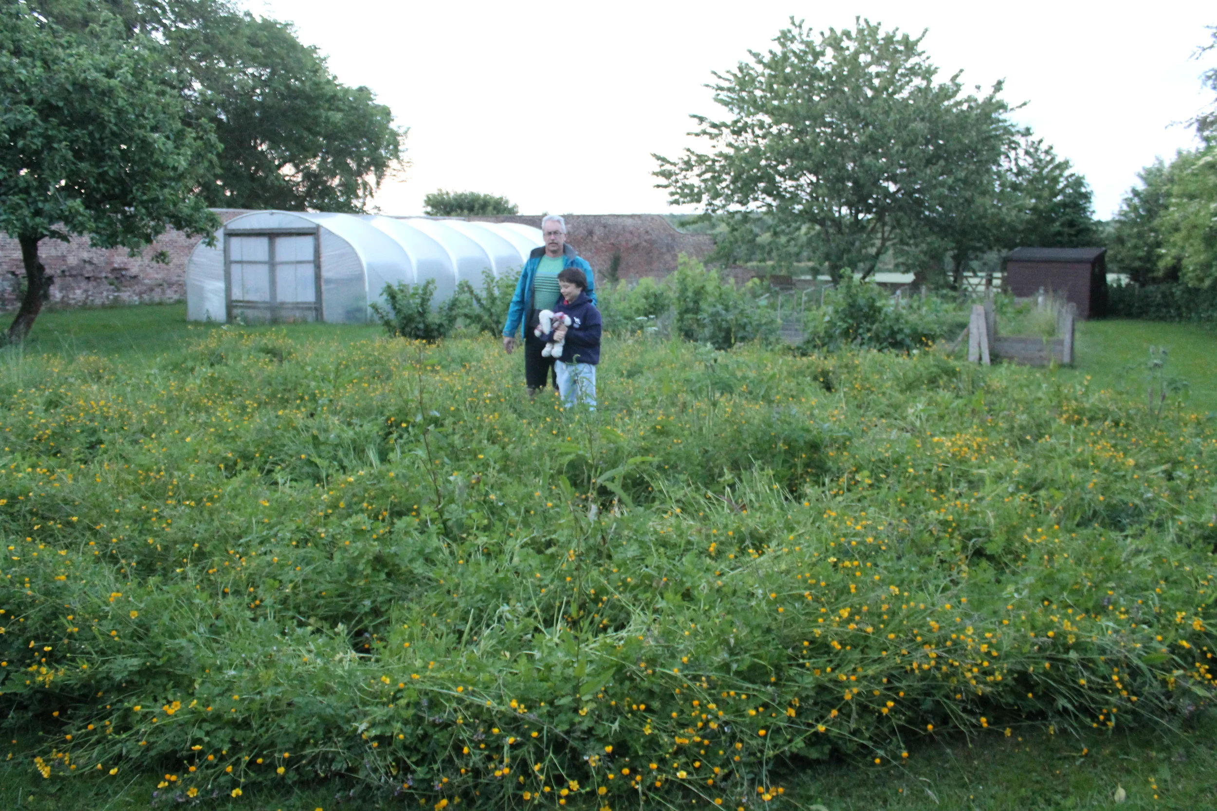 overgrown labyriinth.JPG