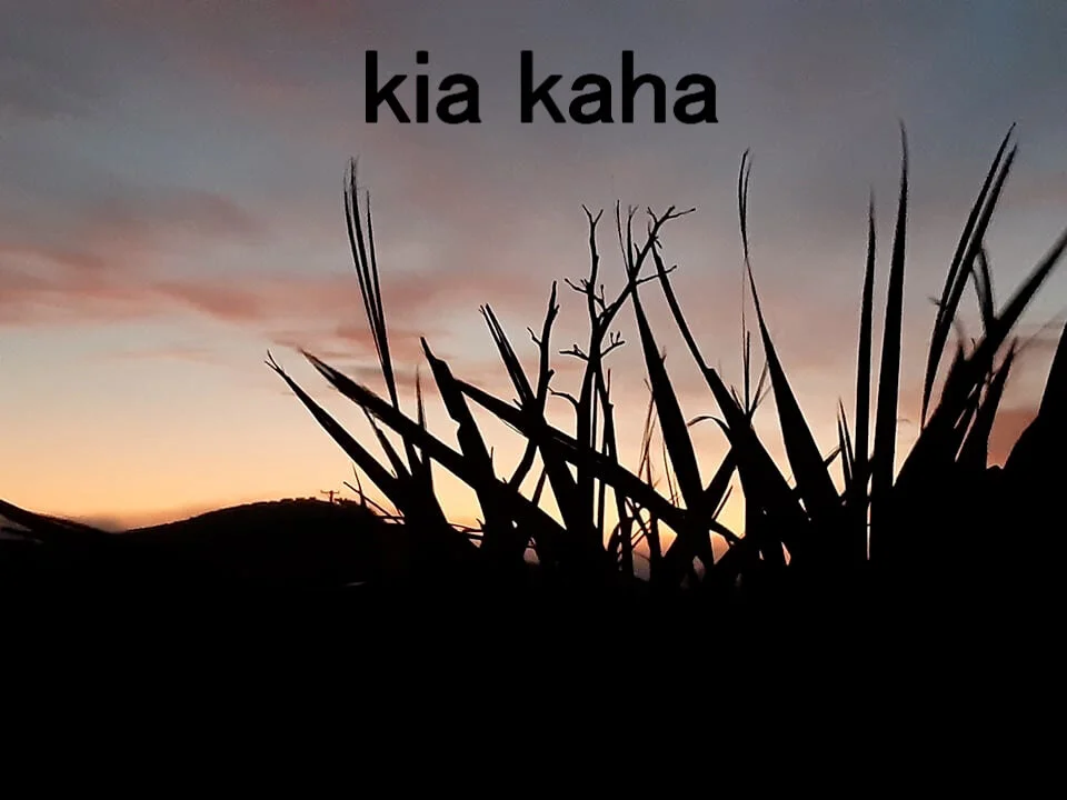 FINAL flax in sunset photo kia kaha-1.jpg