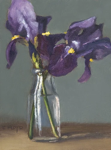 Purple Irises {a new daily painting}