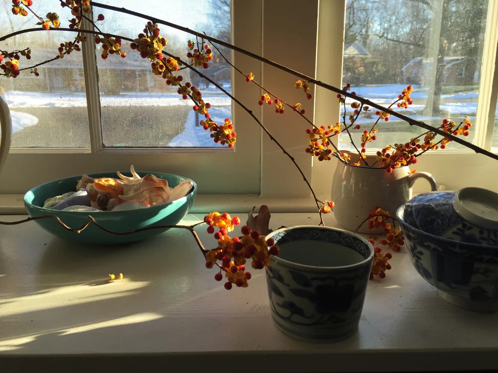 Life Lately, Happy New Year!