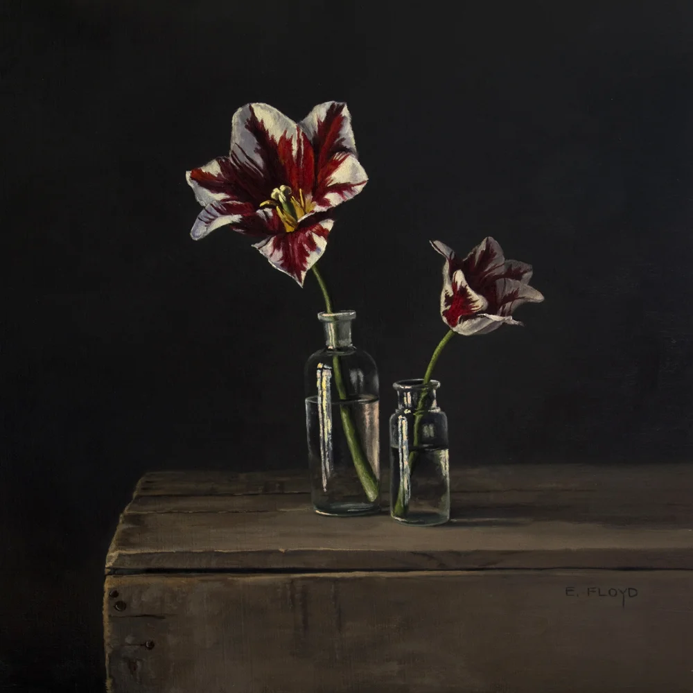 Rembrandt Tulips, 20 x 20 inches