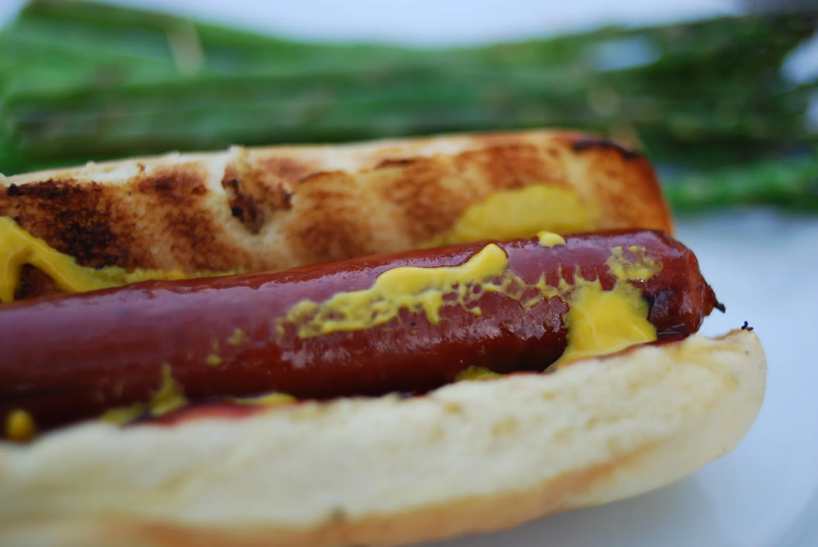 Happy Memorial Day Weekend!