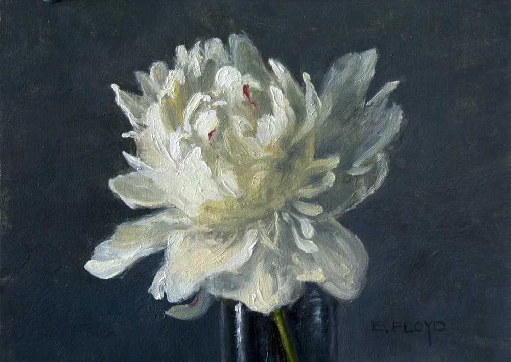 Peony Maxima Festiva, 6 x 8 inches