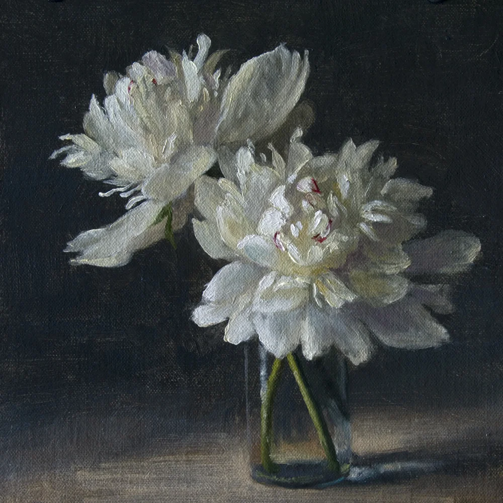Peonies, 8 x 8 inches