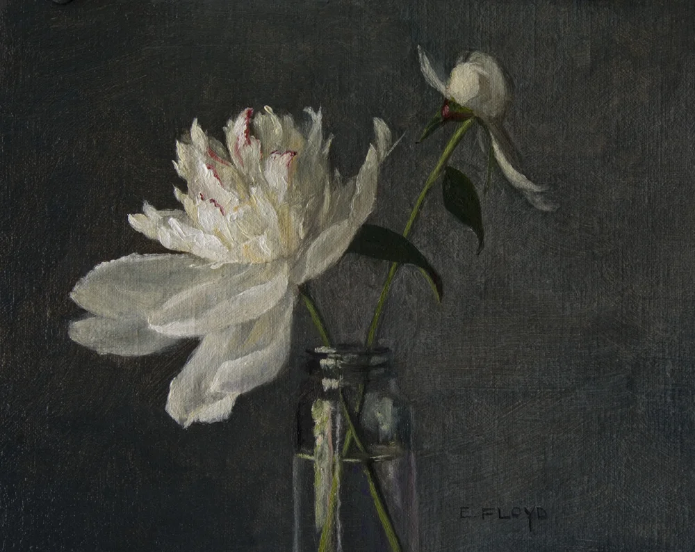 Peony Festiva Maxima and Flower Bud, 8 x 10 inches