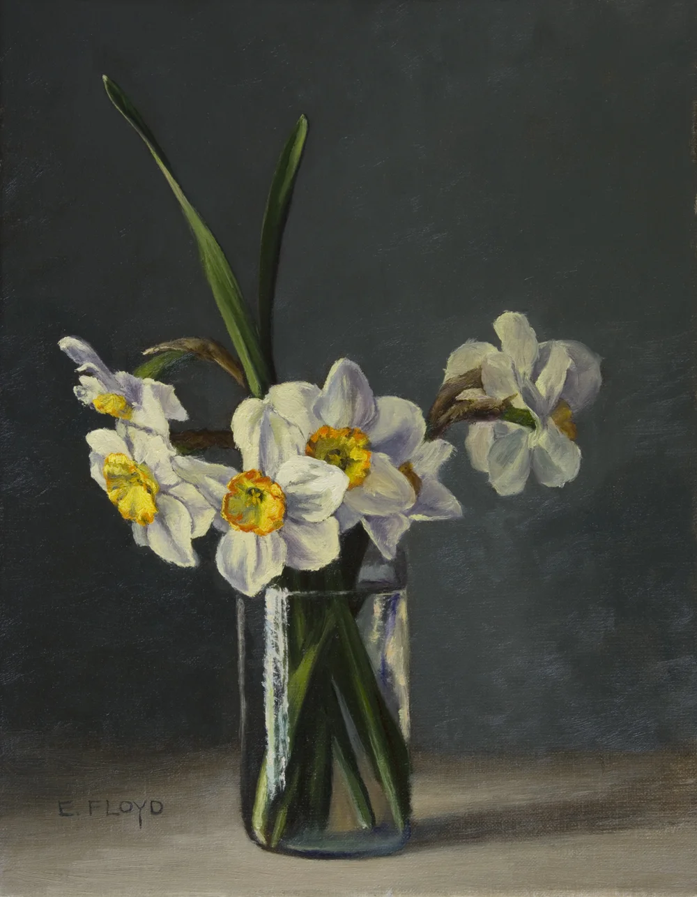 Ringtone and Flower Record Daffodils, 14 x 11 inches