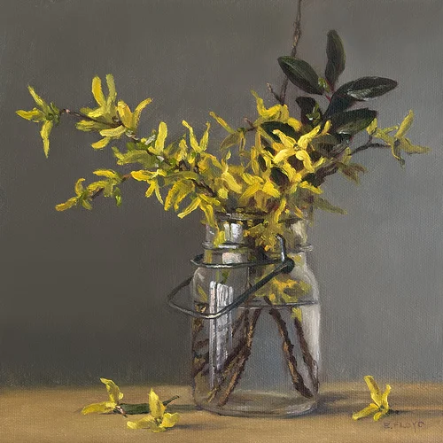 Forsythia 