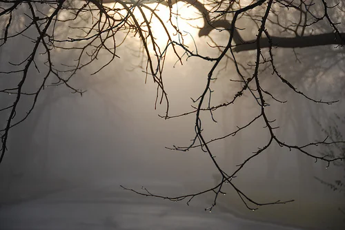 Friday Inspiration: signs of Spring