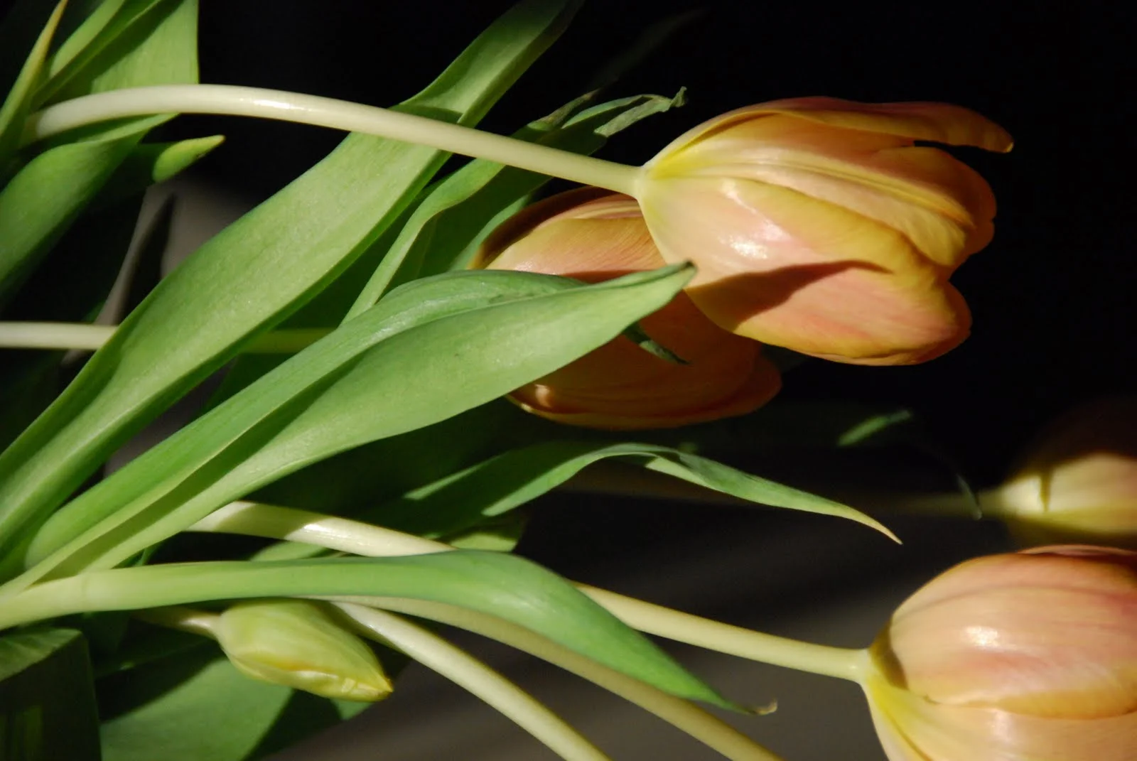 Friday Inspiration: Resolutions for 2012